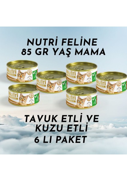 Yaş Mama 85 gr Tavuk Etli ve Kuzu Etli 6 Lı Paket