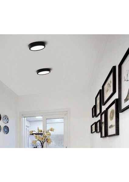 18W Led Panel Yuvarlak Sıva Üstü Siyah Kasa Günışığı CT-5235G