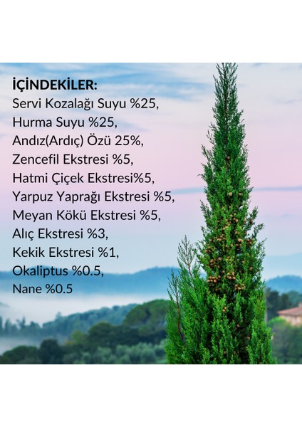 Kozalak Macunu 300G Ekstreler ile Üretilmiştir