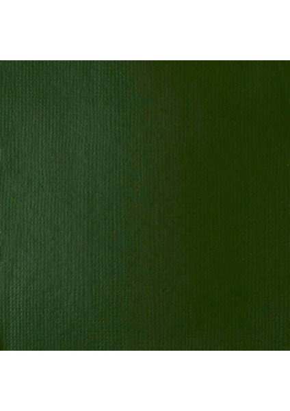 Professional Heavy Body Akrilik Boya 473ML Hooker’s Green Hue Permanent 224 S1