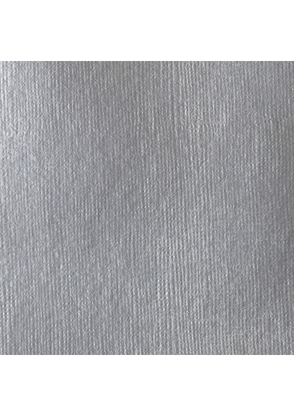 Professional Heavy Body Akrilik Boya 473ML Iridescent Rich Silver 239 S2 fiyatları