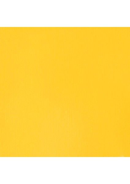 Professional Heavy Body Akrilik Boya 473ML Cadmium-Free Yellow Light 889 S3 fiyatları