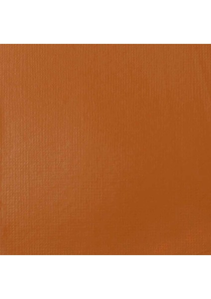 Professional Soft Body Akrilik Boya 59ML Raw Sienna 330 S1 fiyatları