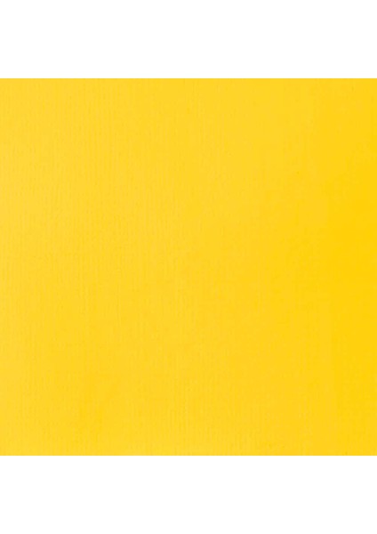 Professional Soft Body Akrilik Boya 59ML Yellow Light Hansa 411 S1 fiyatları