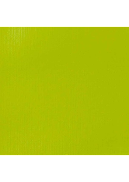 Professional Soft Body Akrilik Boya 59ML Vivid Lime Green 740 S1 fiyatları