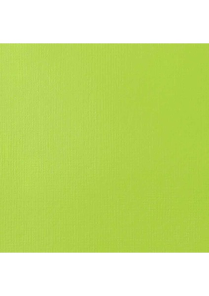 Professional Soft Body Akrilik Boya 59ML Brilliant Yellow Green 840 S1 fiyatları