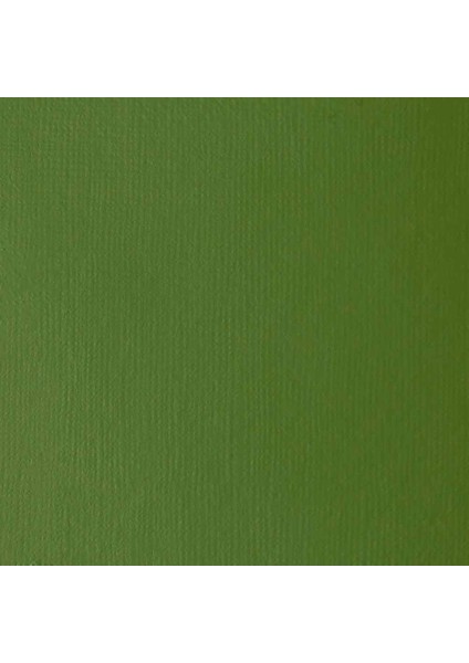 Professional Soft Body Akrilik Boya 59ML Chromium Oxide Green 166 S2
