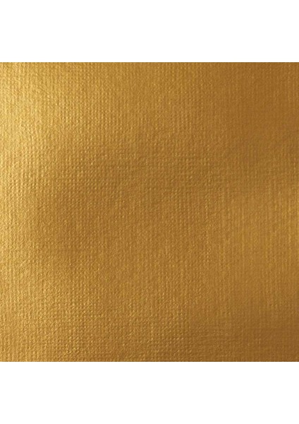 Professional Soft Body Akrilik Boya 59ML Iridescent Rich Gold 235 S2 fiyatları