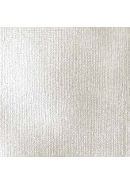 Professional Soft Body Akrilik Boya 59ML Iridescent White 238 S2 fiyatları