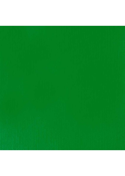 Professional Soft Body Akrilik Boya 59ML Light Green Permanent 312 S2 fiyatları