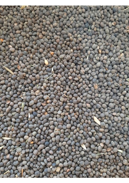 Fiğ Güvercin Yemi (3 Kg)