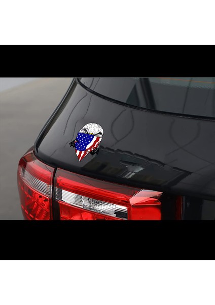 Sticker Master 2 Adet Komik Amerikan Eagle Çıkartmaları Motosiklet Dizüstü Kaykay Bisiklet Oto Motor Pc Etiket