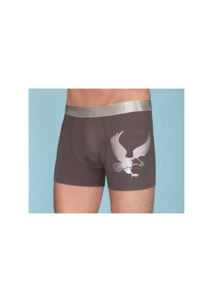 1091 Erkek Modal Boxer