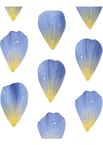 Washi Stickers Mavi Çiçekler 200 Adet fiyatları