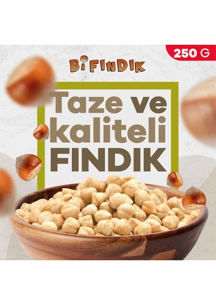 Kavrulmuş Fındık 250 gr modelleri