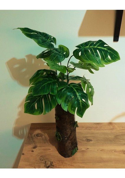 Kütük Ağaç Saksıda Yapay Devetabanı 50 cm Boy Ağaç Deve Tabanı Çiçek