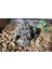 Sürüngen Vivarium Dekorasyon Terrarium Dıy Peyzaj Süsleme Taş Mağarası (Yurt Dışından) 5