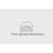 Bosch Bujı ZQR8SI302 ( Peugeot : 207 - 308 - 3008 - 5008 1 . 6 07 - / Cıtroen : C3 - C4 1.6 09 -- )