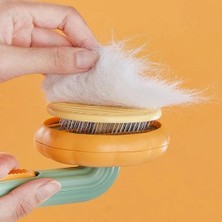 Pet Brush Kabak Tasarımlı Evcil Hayvan Tarağı