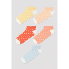 Penti Dots Renkli 5Li Patik Çorap