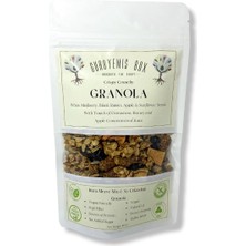 Guruyemiş Box Granola Bol Kuru Meyveli Ay Çekirdekli Ballı & Tarçınlı Vegan Şekersiz  Kahvaltılık Gevrek Sağlıklı Kahvaltı Beslenme Yüksek Lif Protein Kaynağı Vegan Şekersiz100 gr