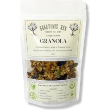 Guruyemiş Box Granola Bol Kuru Meyveli Kabak Çekirdekli Ballı Vegan Şekersiz 100 gr Kahvaltılık Gevrek Sağlıklı Kahvaltı Beslenme Yüksek Lif Protein Kaynağı Vegan Şekersiz