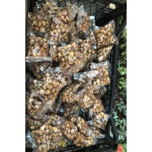 Sarı Tarım 5 Adet Bordo Frezya Çiçeği ( Arpa Çiçeği ) Soğanı Mis Kokulu