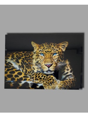 Muqqy Leopar Cam Tablo