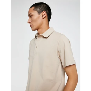 Basic Tişört Polo Yaka Pamuklu