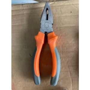 Tiger King Tiger Pense