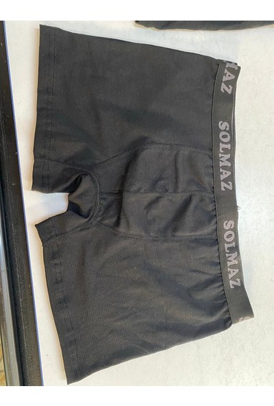 Solmaz Boxer
