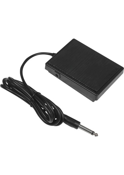 Elektronik Klavye Siyahı Için Evrensel Sürdürme Pedal Sentezleyici Ayak Pedalı (Yurt Dışından) modelleri