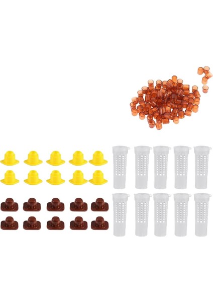 Tam Kraliçe Yetiştirme Kiti Tutucu Kraliçe Arı Kafesi Arıyor (Yurt Dışından)