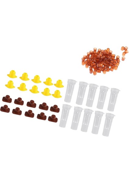 Tam Kraliçe Yetiştirme Kiti Tutucu Kraliçe Arı Kafesi Arıyor (Yurt Dışından) modelleri