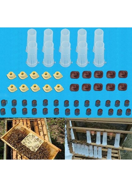 Tam Kraliçe Yetiştirme Kiti Tutucu Kraliçe Arı Kafesi Arıyor (Yurt Dışından) fırsatları