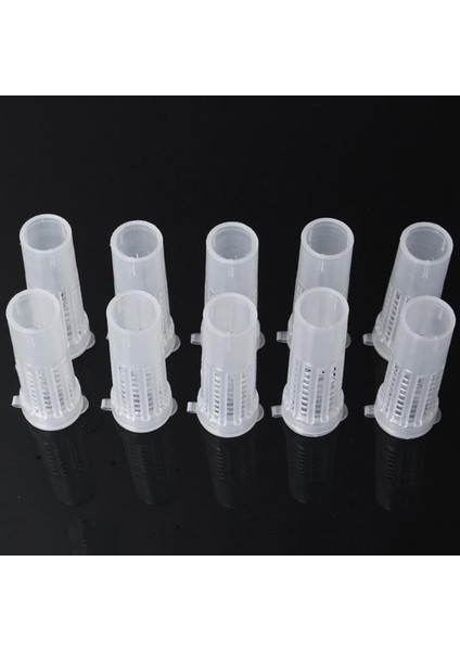 Tam Kraliçe Yetiştirme Kiti Tutucu Kraliçe Arı Kafesi Arıyor (Yurt Dışından) indirimleri