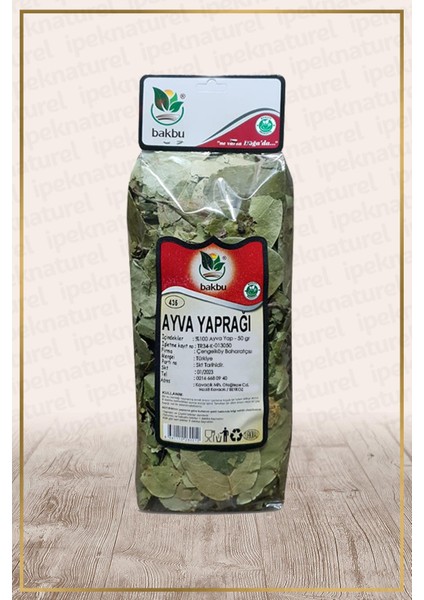 Ayva Yaprağı (Cydonia Vulgaris)
