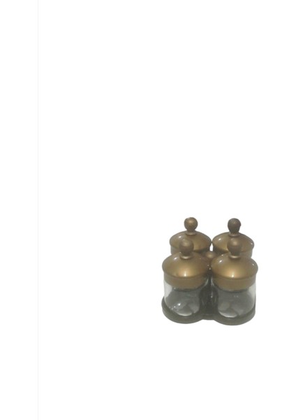 4'lü Standlı Baharatlık Set