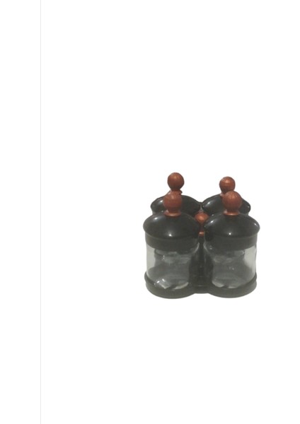 4'lü Standlı Baharatlık Set