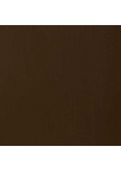 Professional Heavy Body Akrilik Boya 946ML Raw Umber 331 S1 fiyatları