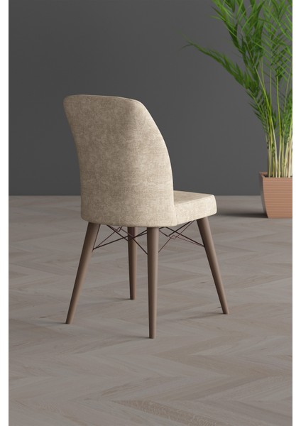 Arven Gold Serisi Ceviz Gürgen Ayak fiyatları