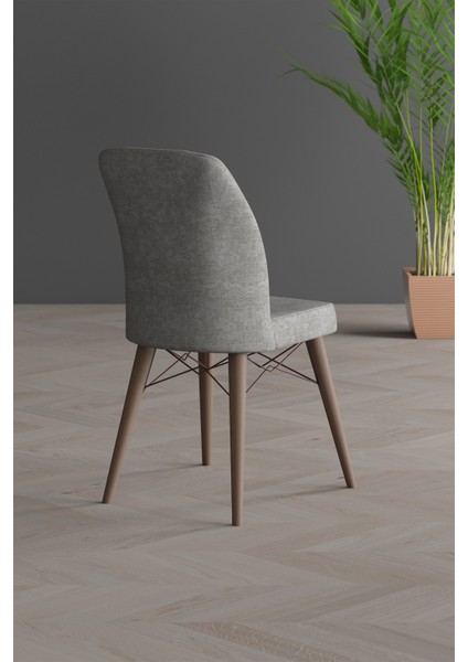 Arven Gold Serisi Ceviz Gürgen Ayak fiyatları