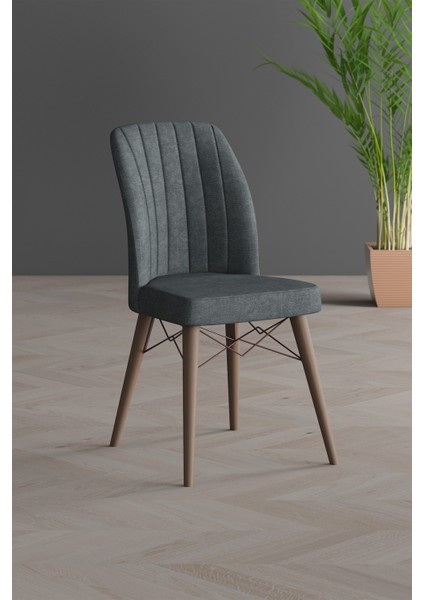 Arven Gold Serisi Ceviz Gürgen Ayak