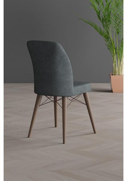 Arven Gold Serisi Ceviz Gürgen Ayak fiyatları