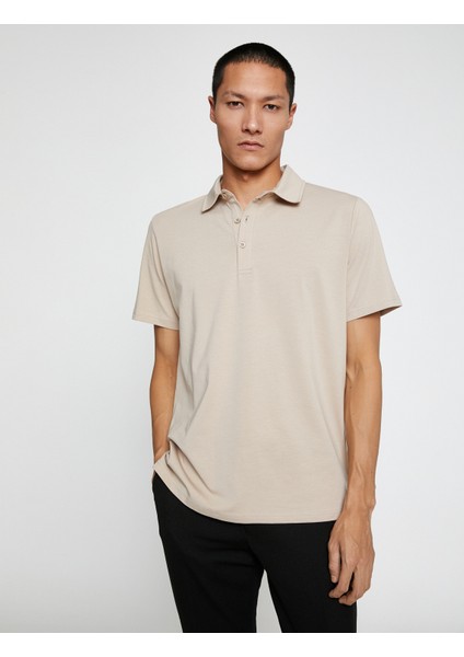 Basic Tişört Polo Yaka Pamuklu fiyatları