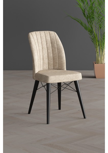 Arven Gold Serisi Ceviz Gürgen Ayak