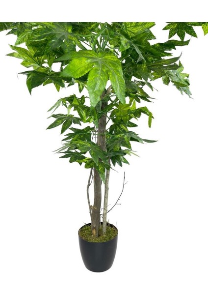 Yapay Ağaç Yeşil Çınar AĞACI100X70 cm Siyah Plastik Saksılı modelleri