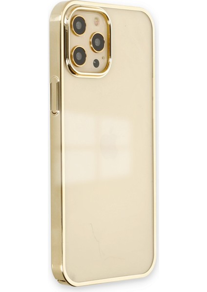 iPhone 12 Pro Kılıf Element Silikon - Gold