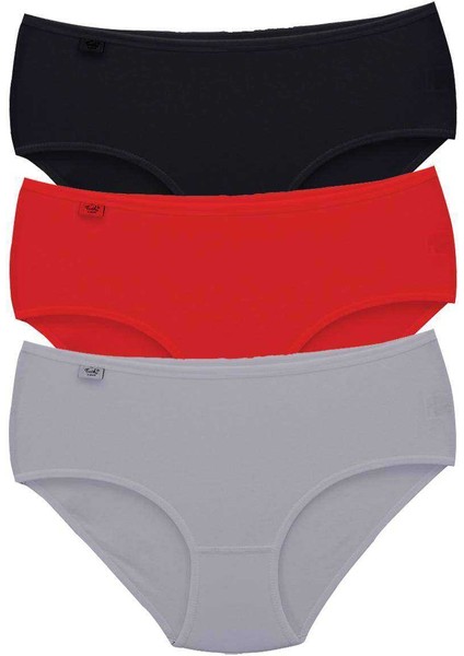 3 Adet Tutku Kadın Yüksek Bel Bato Ince Lastik Külot S2