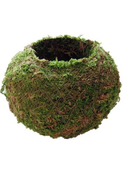 2x Parçalar Yaratıcı Yeşil Dikim Topu Etli Bitki Potu Dekorasyonu 6cm (Yurt Dışından)